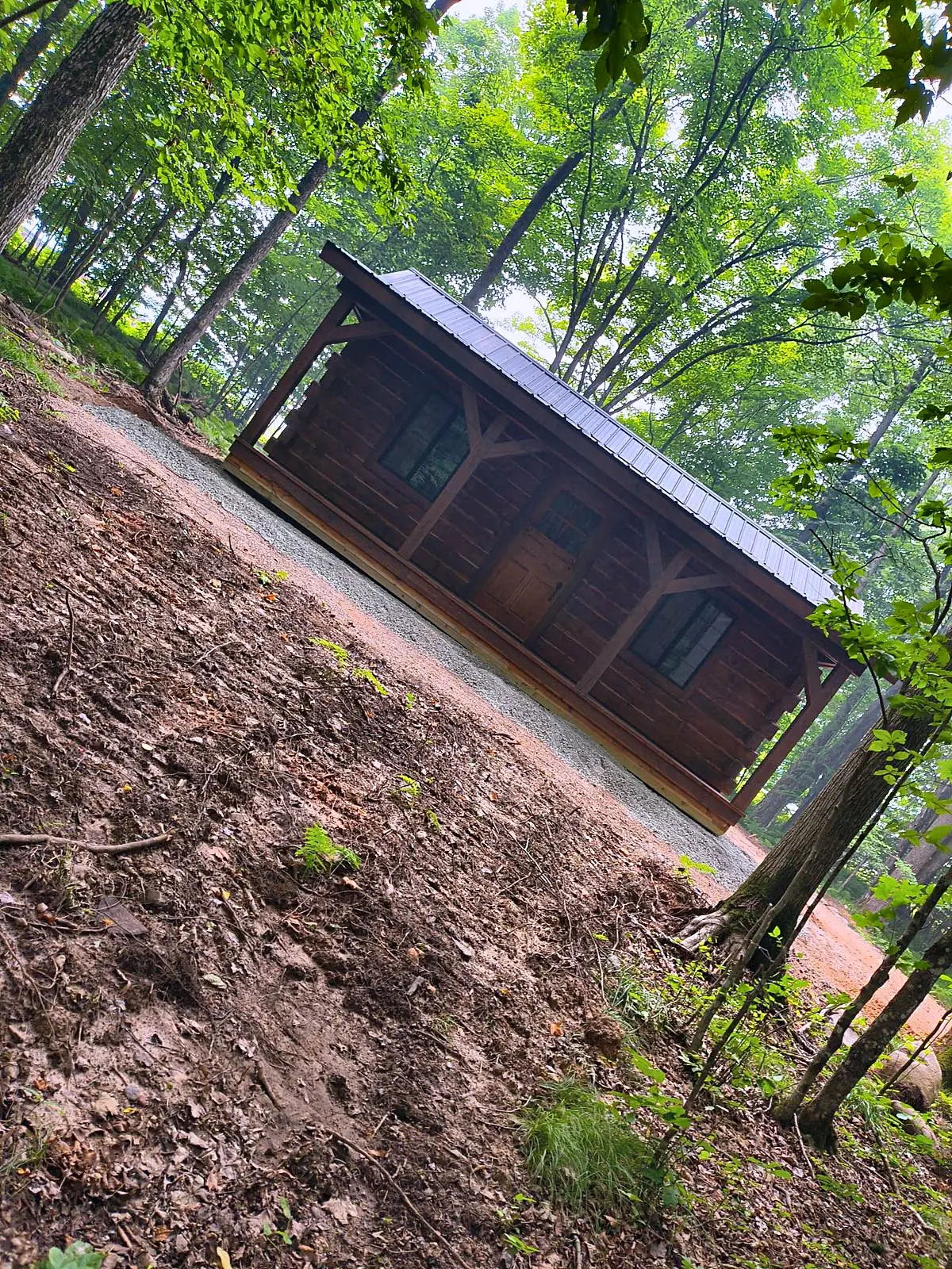 Small wooded cabin, framed by the surrounding forest